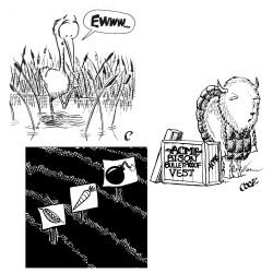 Various spots for Environmental News section, <i>Alternatives Jounral</i>. various quick ink drawings; a crane saying Ewww, a bison in a bullet-proof vest, a garden with furrow and signs for peas, carrots and a cartoon bomb
