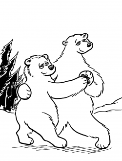 Where do grolar bears come from? <i>Canada Doodles</i>, written by Megan Radford, published by Gibbs Smith. A grizzly bear and a polar bear dancing in the forest