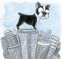 Dogs Terrified by Condo Life <i>Dog Eyes</i> magazine. larger-than-life Boston terrier dog on the top of a skyscraper, looking down terrified while surrounded by other skyscrapers