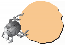 Dung beetle with ball for table of contents, in spot colour. <i>RCI Kids</i> newsletter. Dung beetle rolling an uneven flat coloured ball