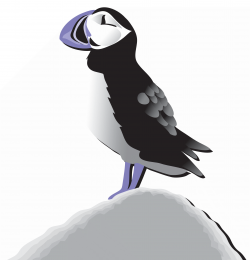 Puffin in spot colour. <i>RCI Kids</i> newsletter. Puffin on a rock
